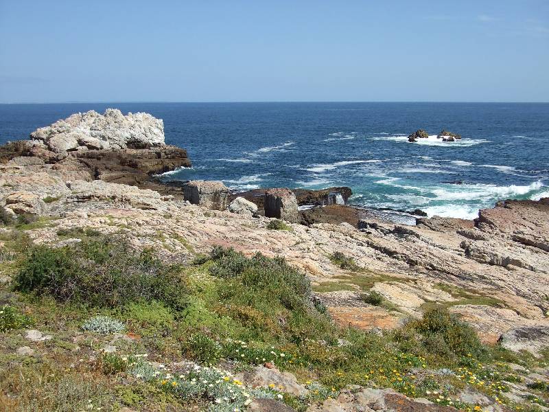 Hermanus (3) 